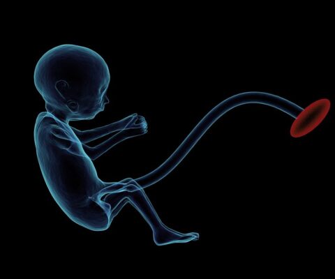 Obrazek dekoracyjny wpisu: Alcohol in Pregnancy and FASD: Children Still Lack Adequate Support