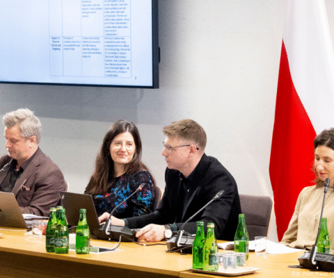 Obrazek dekoracyjny wpisu: Young People Are Drowning in Disinformation – Parliament Confronts Alarming Report