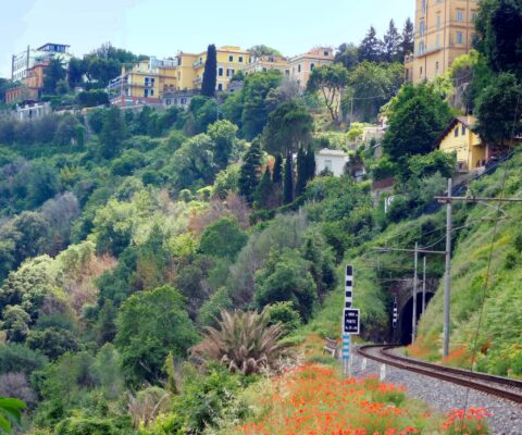 Obrazek dekoracyjny wpisu: Castel Gandolfo i polski ślad. Proboszcz o papieskich tradycjach i związkach z Polską